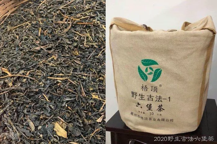 🌳2020年 野生古法六堡茶(300克)🌳梧頂茶廠 古樹荒野茶🌳古樹 生茶 瑤香菸薰🌳野韻 霸氣 信德茶行🌳