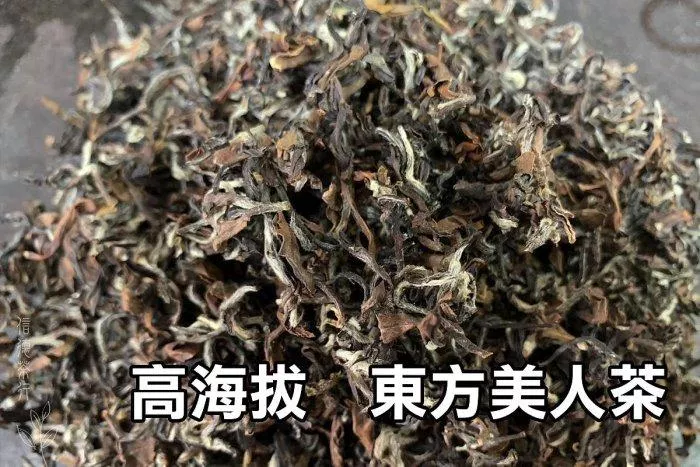 🌿2023年 野放東方美人茶150g 高山製🌿蜜果香×白亳顯×小綠葉蟬叮咬原生風味×信德茶行×通過SGS農殘檢測🌿