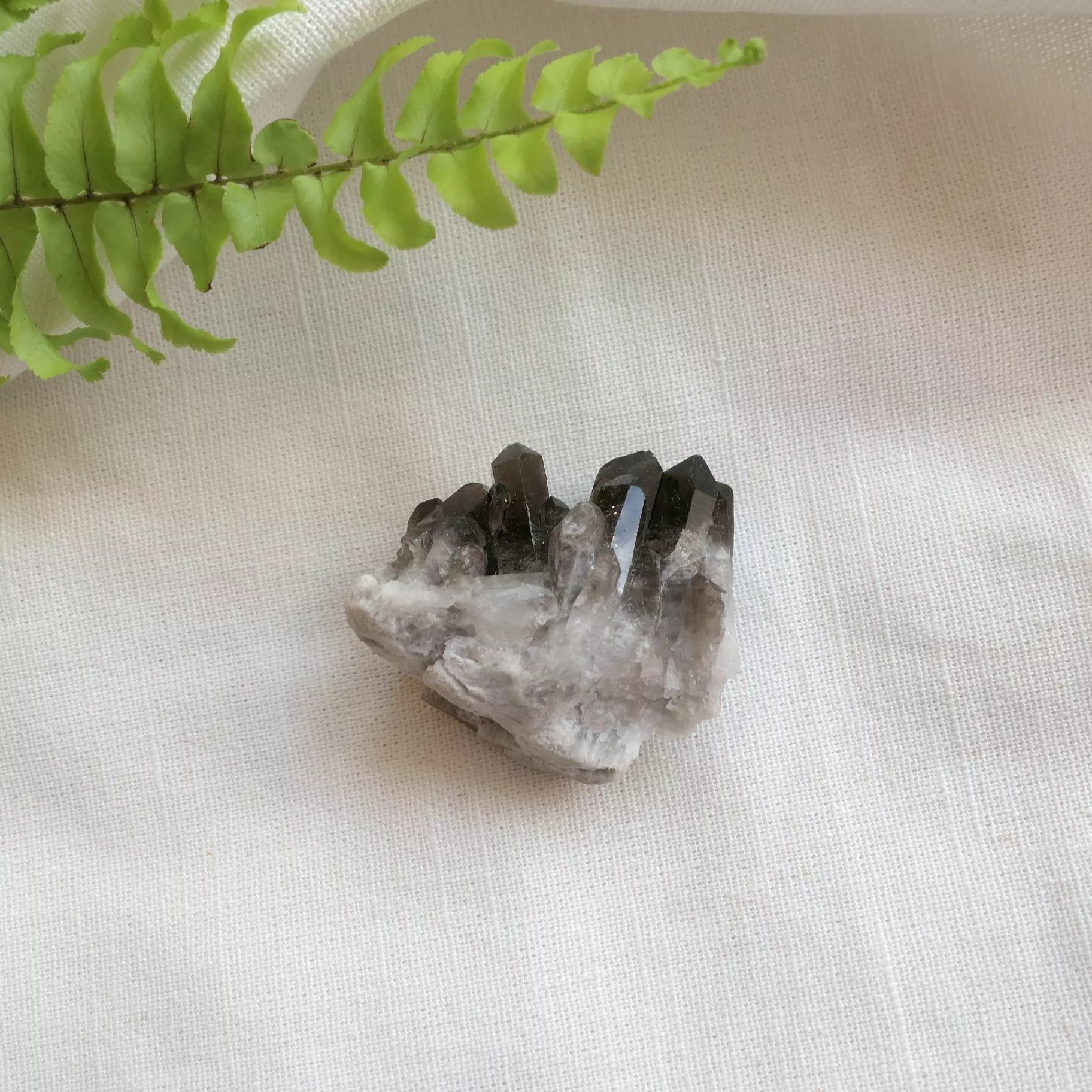 巴西煙水晶簇 茶晶簇 煙晶簇 -23-0616