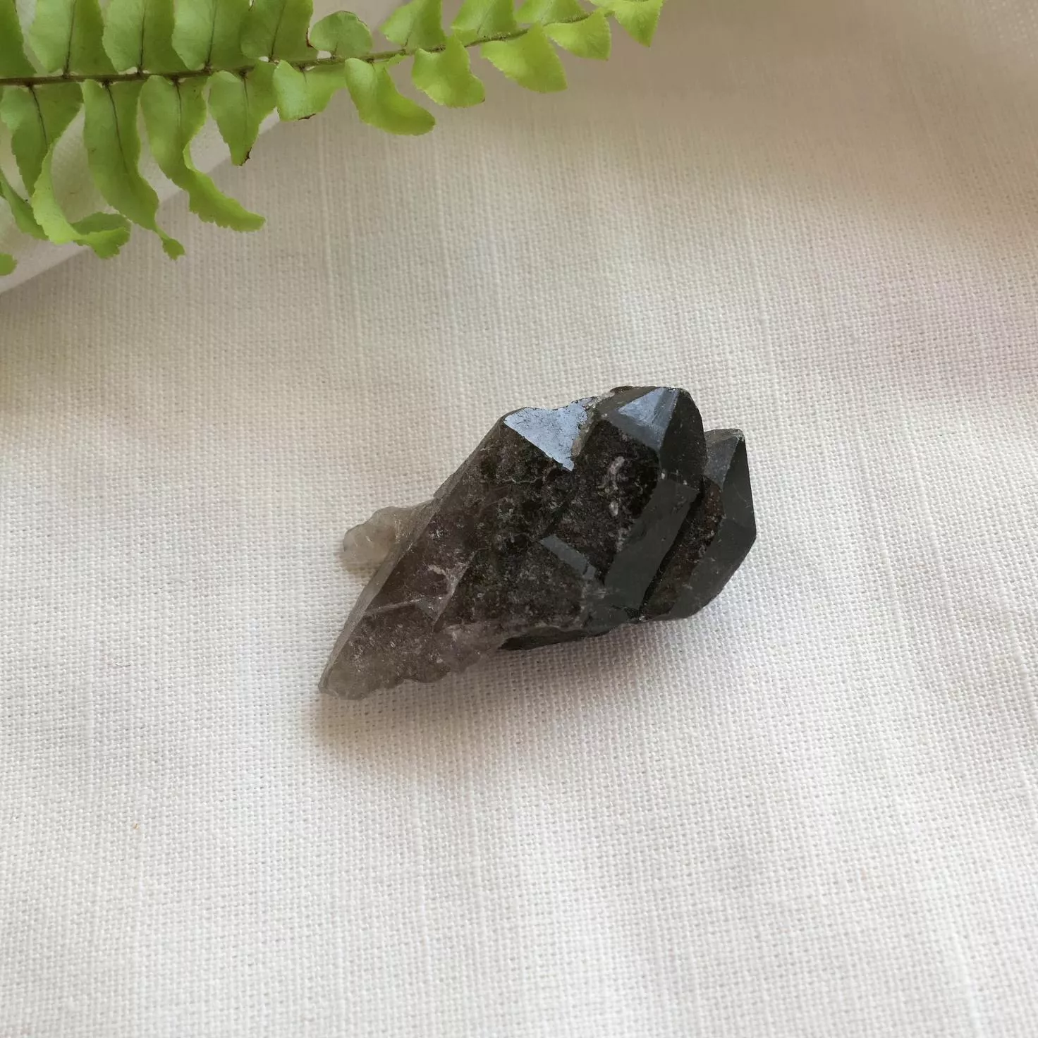 巴西煙水晶簇 茶晶簇 煙晶簇 -21-0616