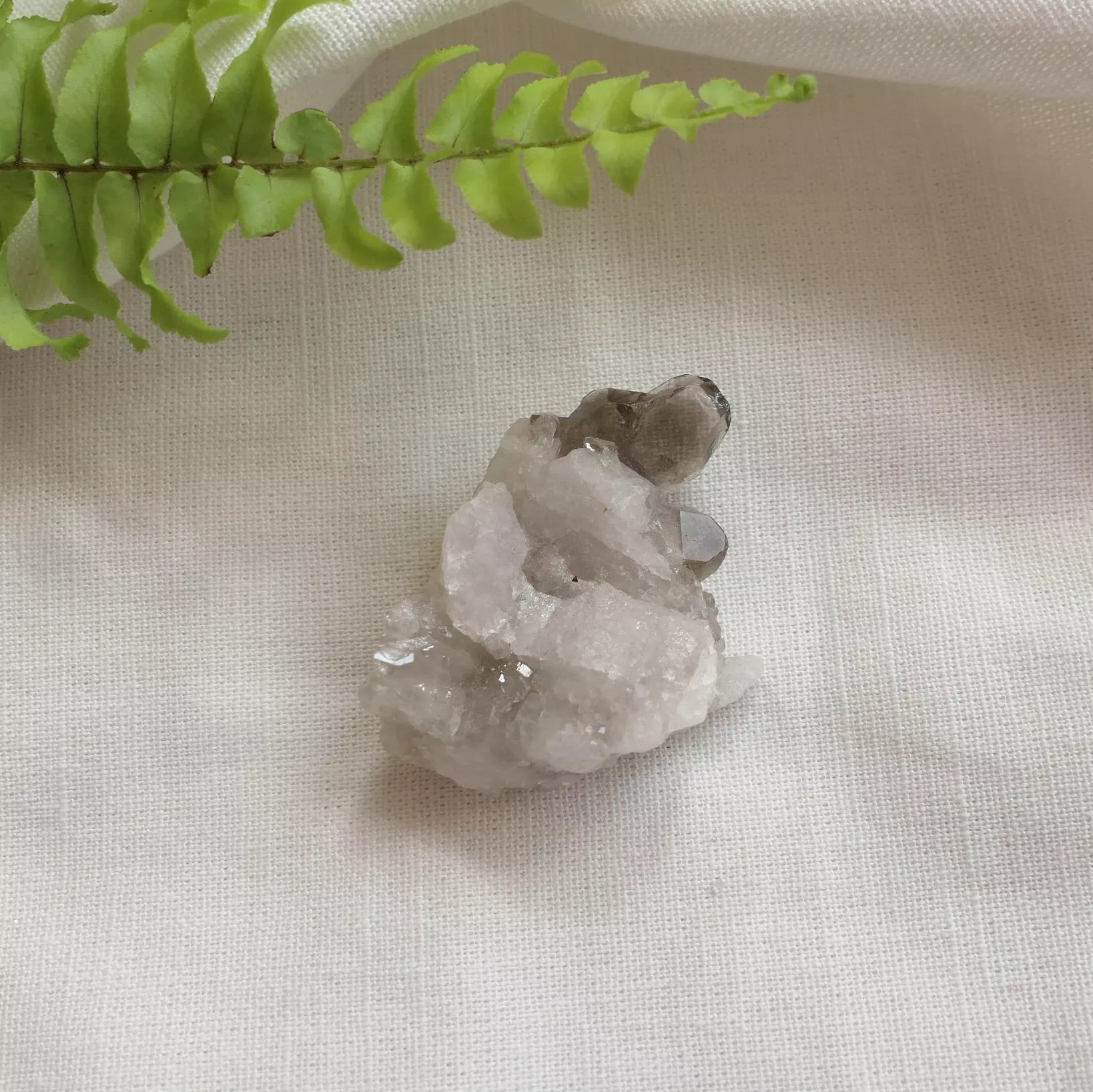 巴西煙水晶簇 茶晶簇 煙晶簇 -19-0616
