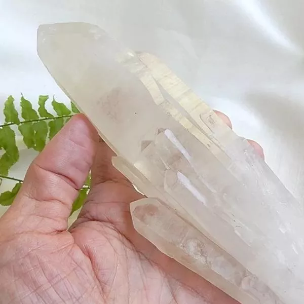 側芽水晶柱原礦-1-0915