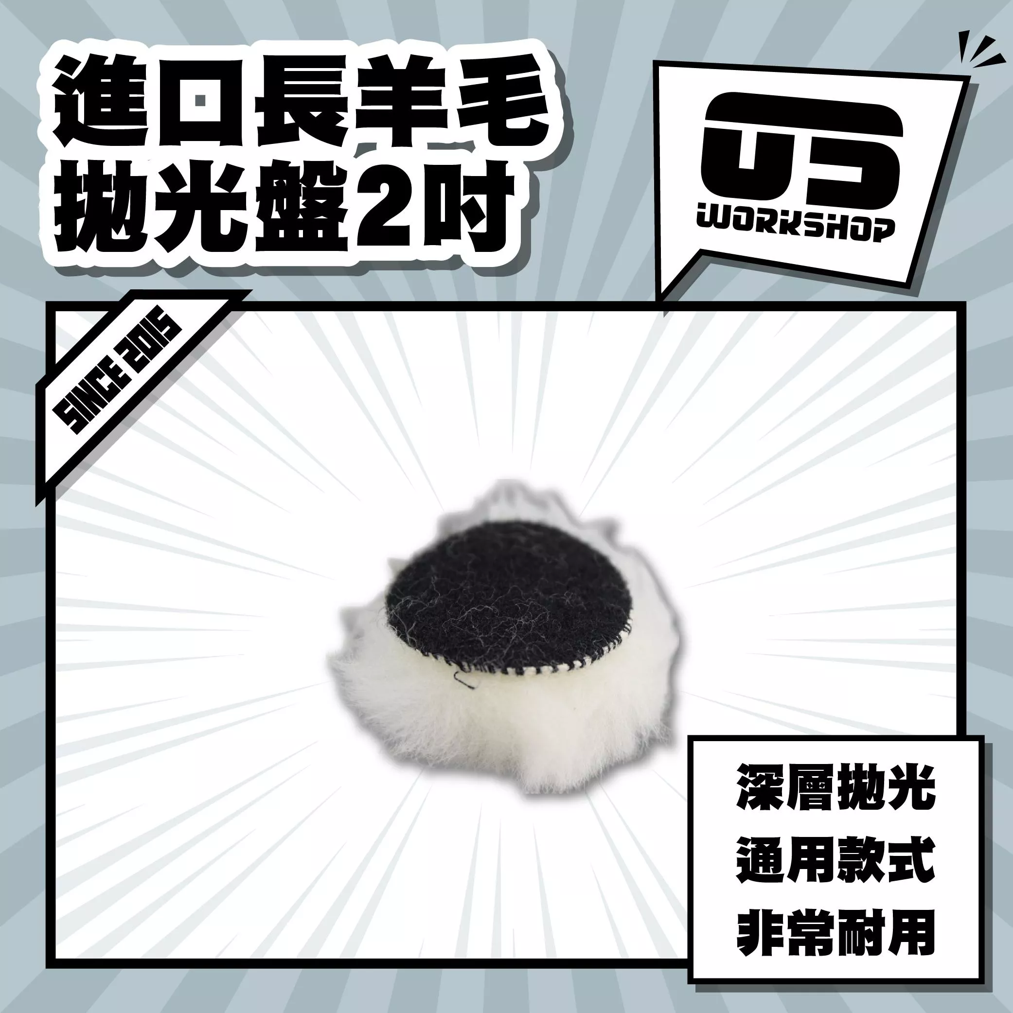 進口長羊毛拋光盤2吋