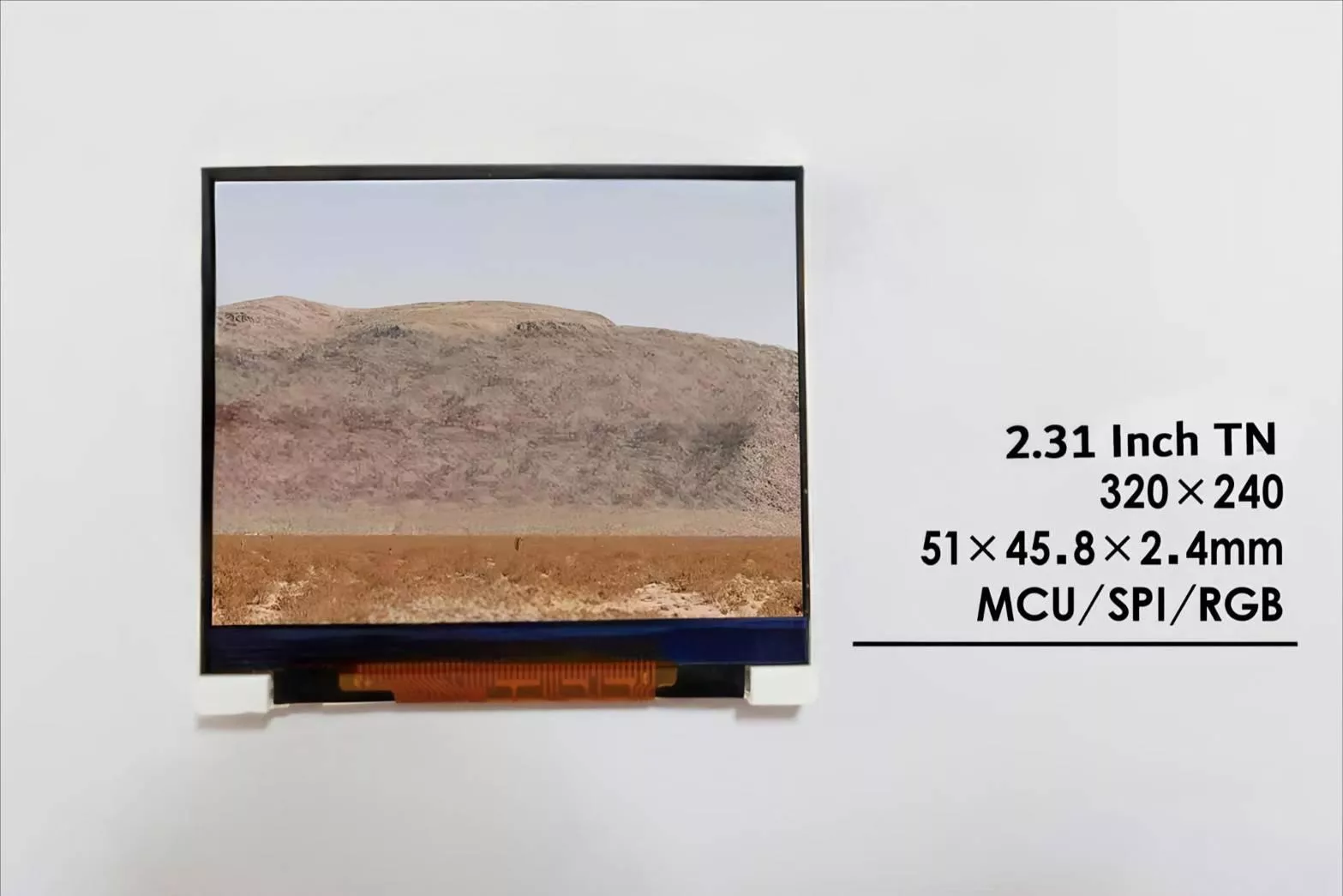 2.31 Inch TN