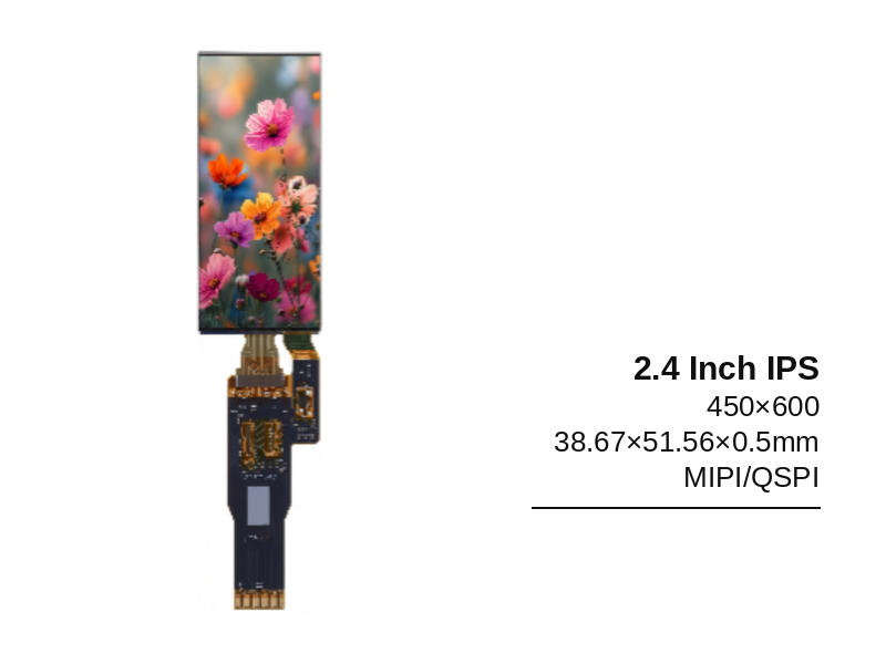 2.4 Inch IPS