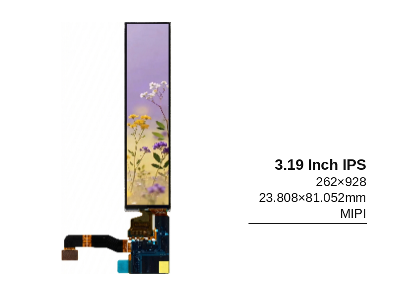 3.19 Inch IPS