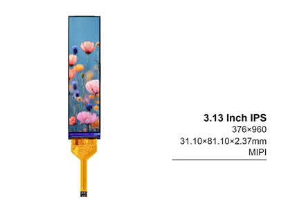 3.13 Inch IPS