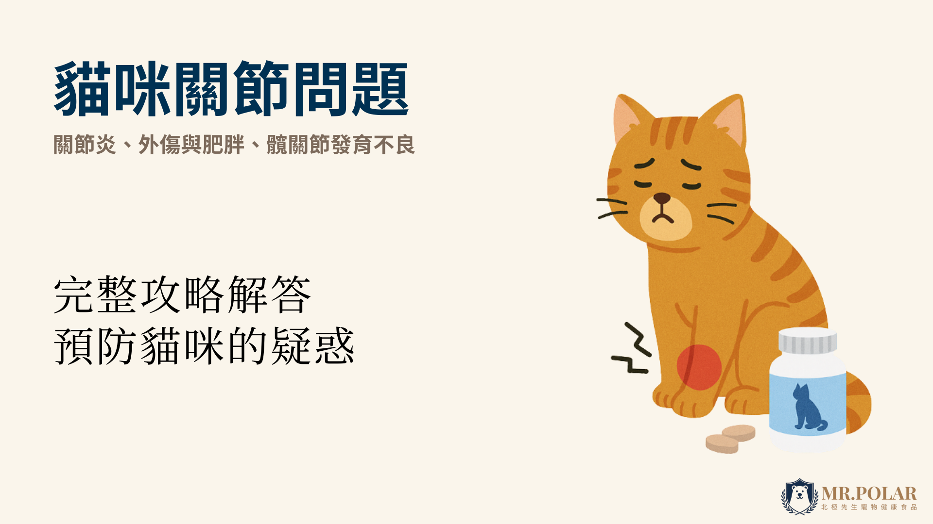 貓咪關節炎、退化性關節炎怎麼辦？完整保健攻略，解答貓咪能吃人類保健品嗎？