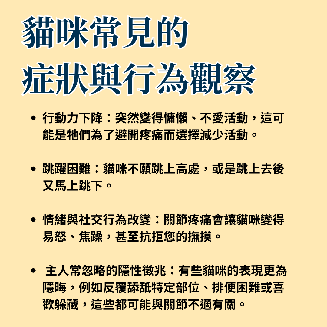 貓咪關節炎症狀資訊圖，條列了行動力下降、跳躍困難、情緒改變與其他隱性徵兆。