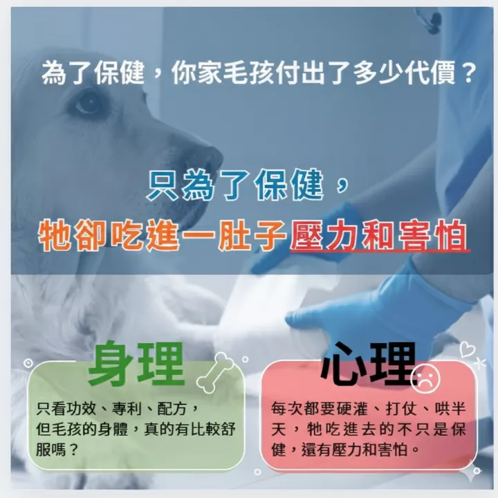 解決毛孩餵藥壓力與恐懼，生理心理雙重照護的寵物保健新選擇
