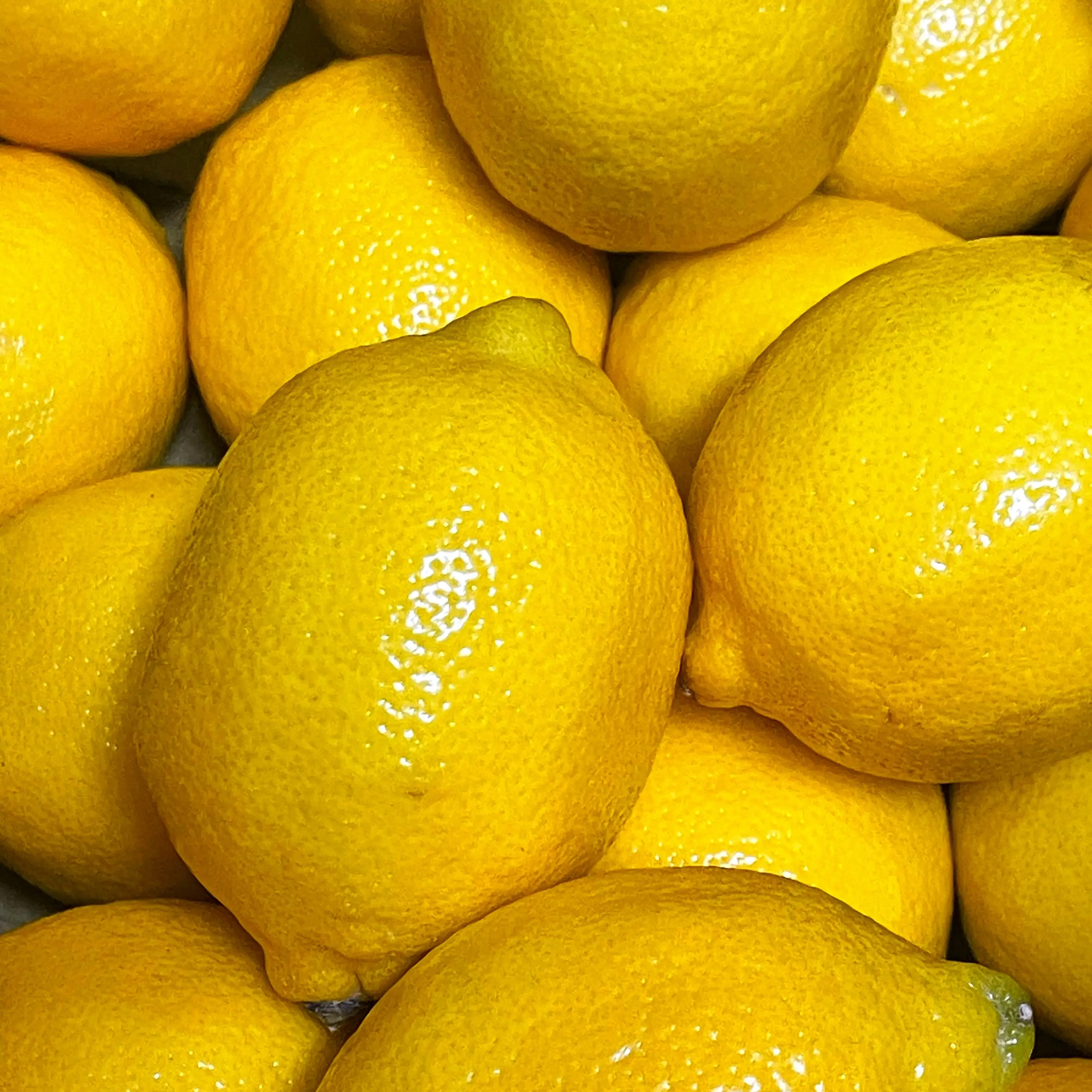 黃檸檬塔為什麼貴？台中少見黃檸檬塔的風味真相