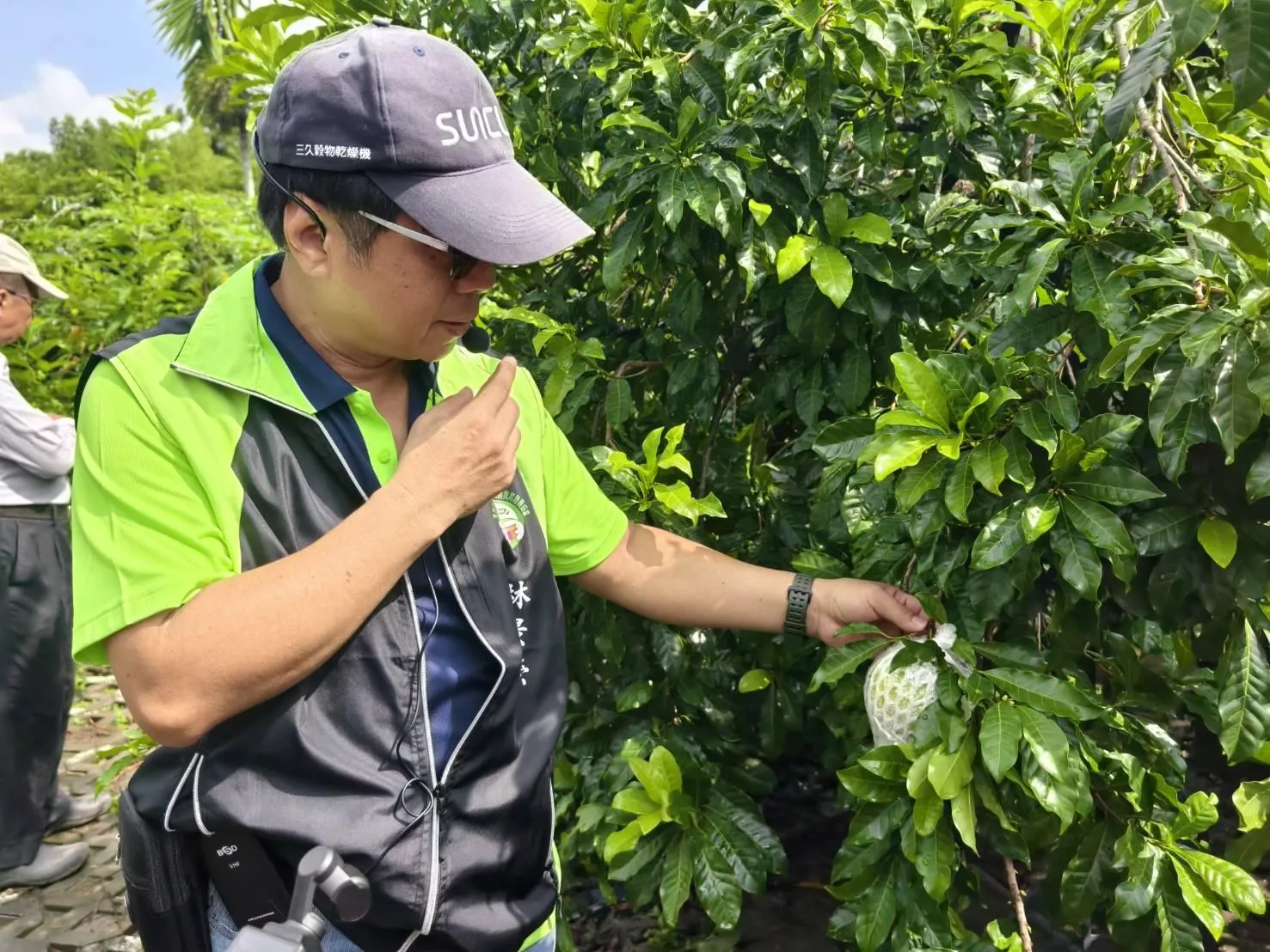 美濃低碳綠色遊程-食農教育(咖啡可可)