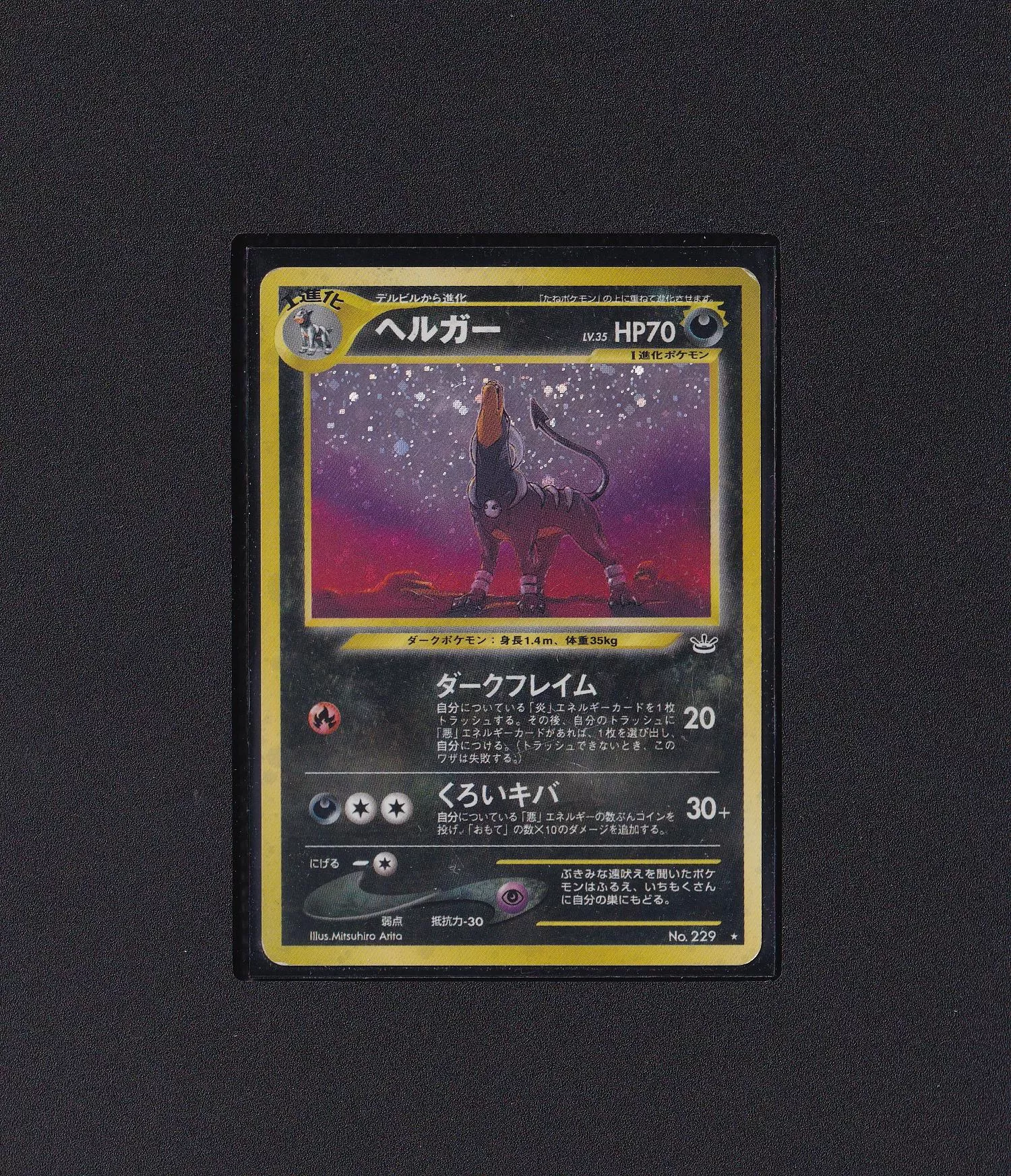 黑魯加 NO.229 【RANK C】