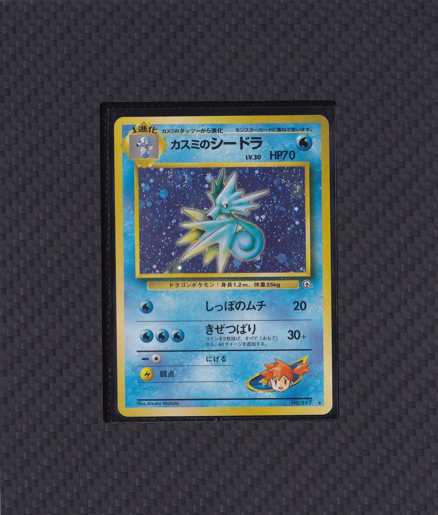 小霞的刺龍王 NO.117 【RANK  A】