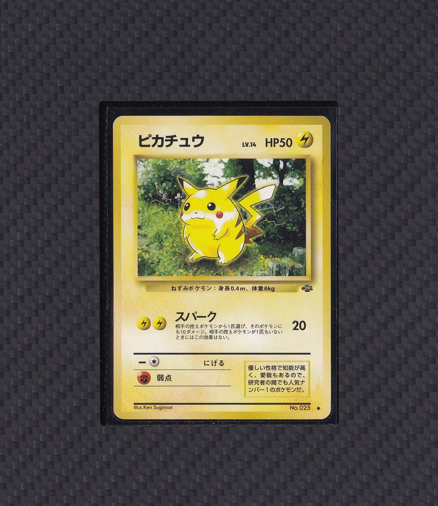 皮卡丘  No.025 【RANK B】