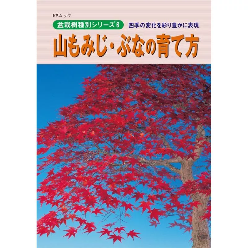 《野趣小品盆栽》山槭．山毛櫸培育法-近代出版社