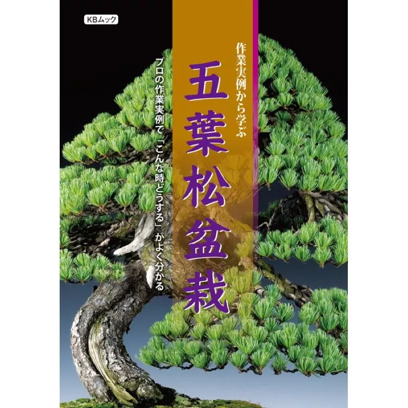 《野趣小品盆栽》五葉松盆栽作業實例-近代出版社