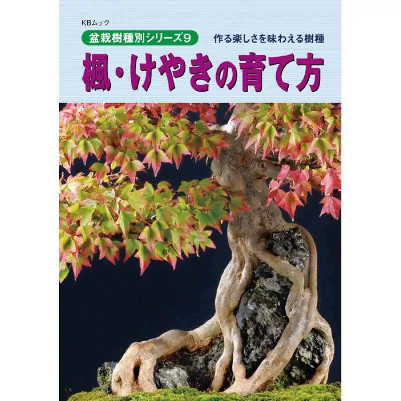 《野趣小品盆栽》楓．櫸培育法-近代出版社（唐楓．櫸樹）