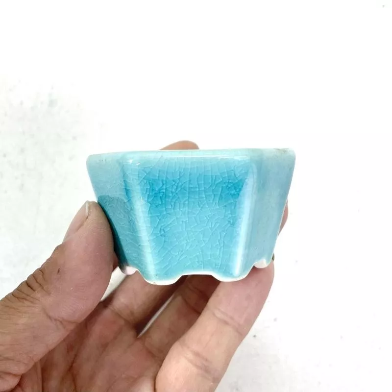 《野趣小品盆栽》中國宜興-星宇冰裂六角藍釉盆．盆缽