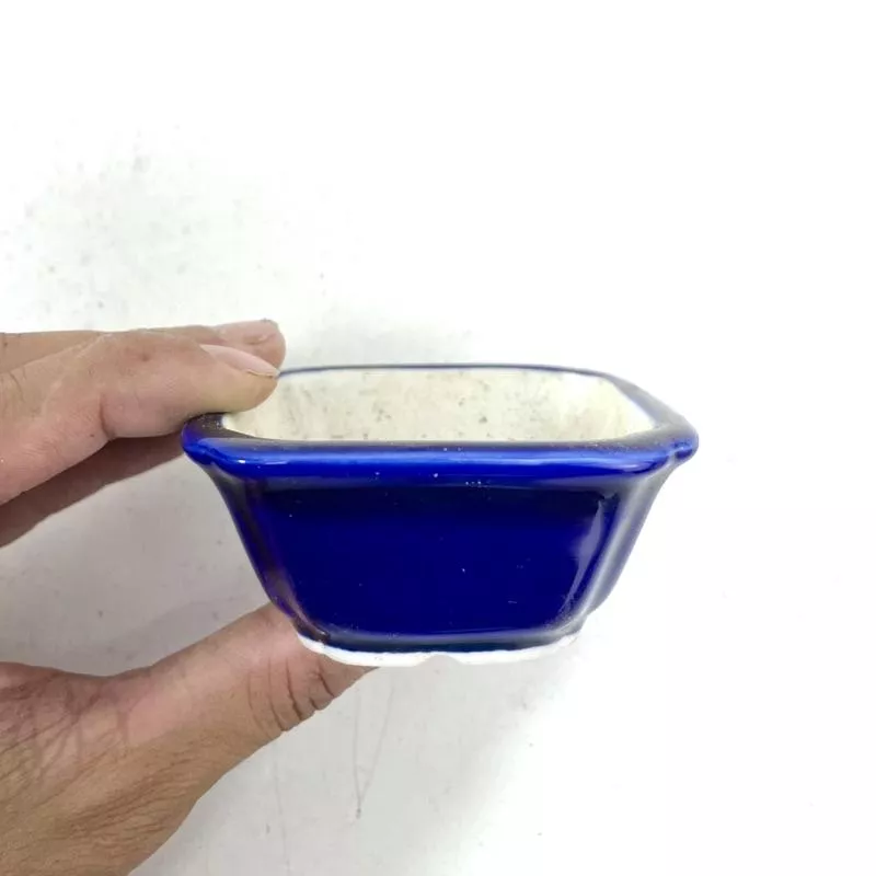 《野趣小品盆栽》中國宜興-星宇藍釉正方盆．盆缽