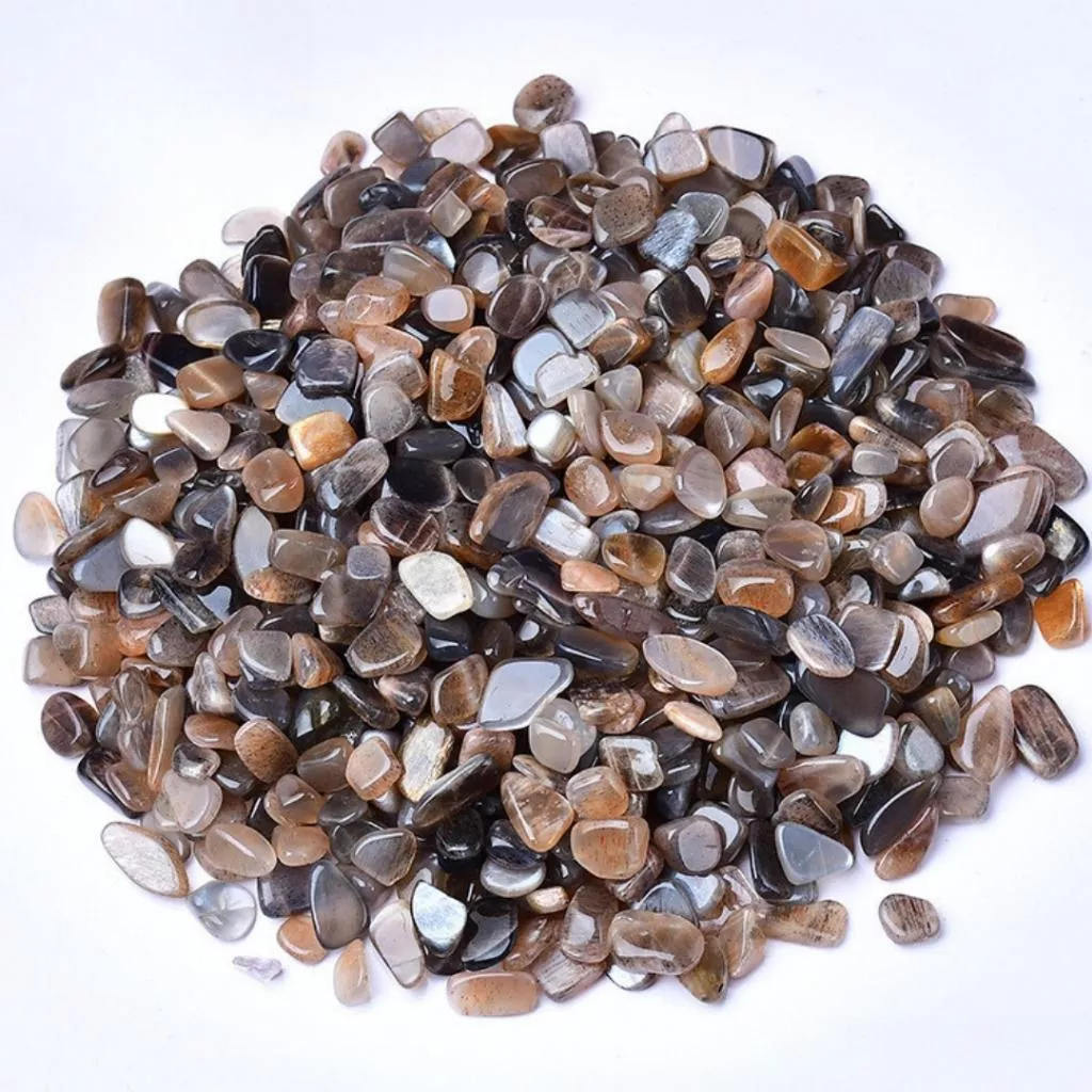 黑骨幹碎石 100g 水晶碎石 碎石消磁【SP0140】