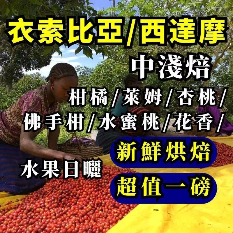 衣索比亞/西達摩G2 《中淺焙》【半磅、 1磅裝咖啡豆】