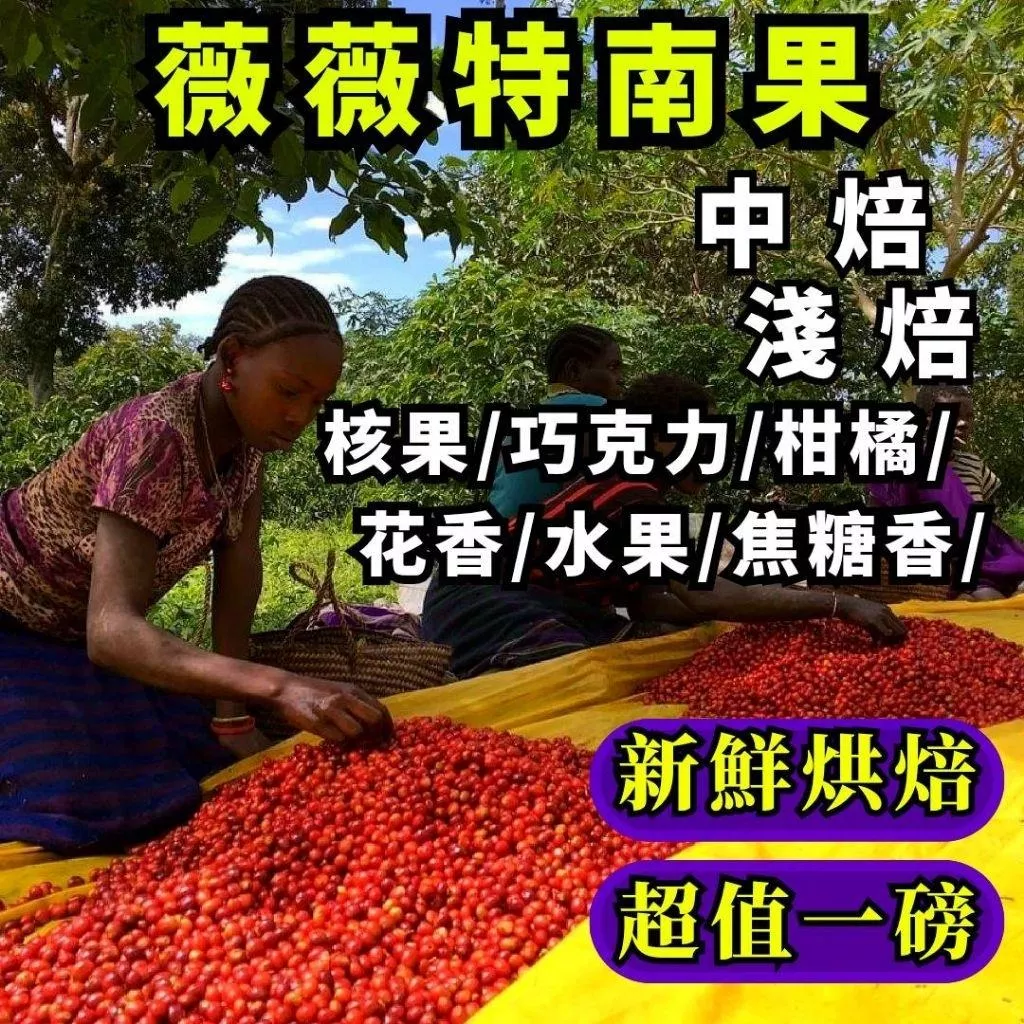 瓜地馬拉 薇薇特南果/SHB 茵傑特莊園  【淺焙/中焙】【1磅裝/半磅裝咖啡豆】