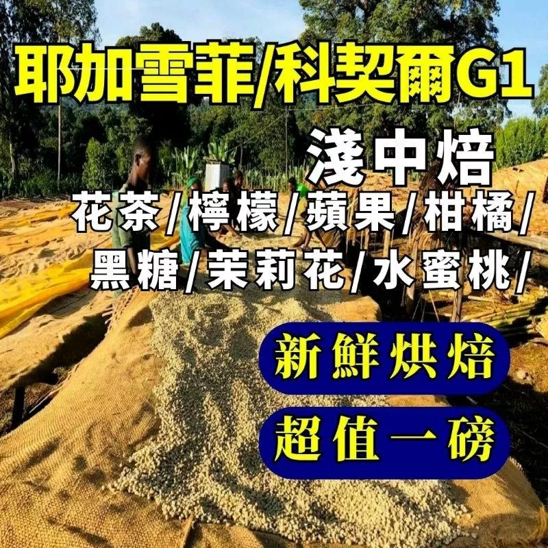 耶加雪菲/科契爾 G1【淺中焙】【半磅裝/1磅裝咖啡豆】