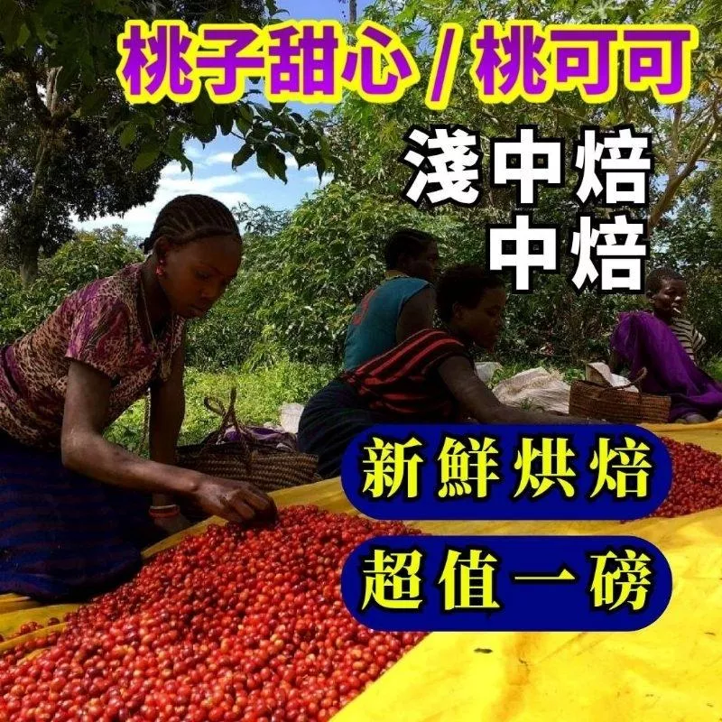 衣索比亞 桃子甜心/桃可可 【淺中焙/中焙】咖啡豆