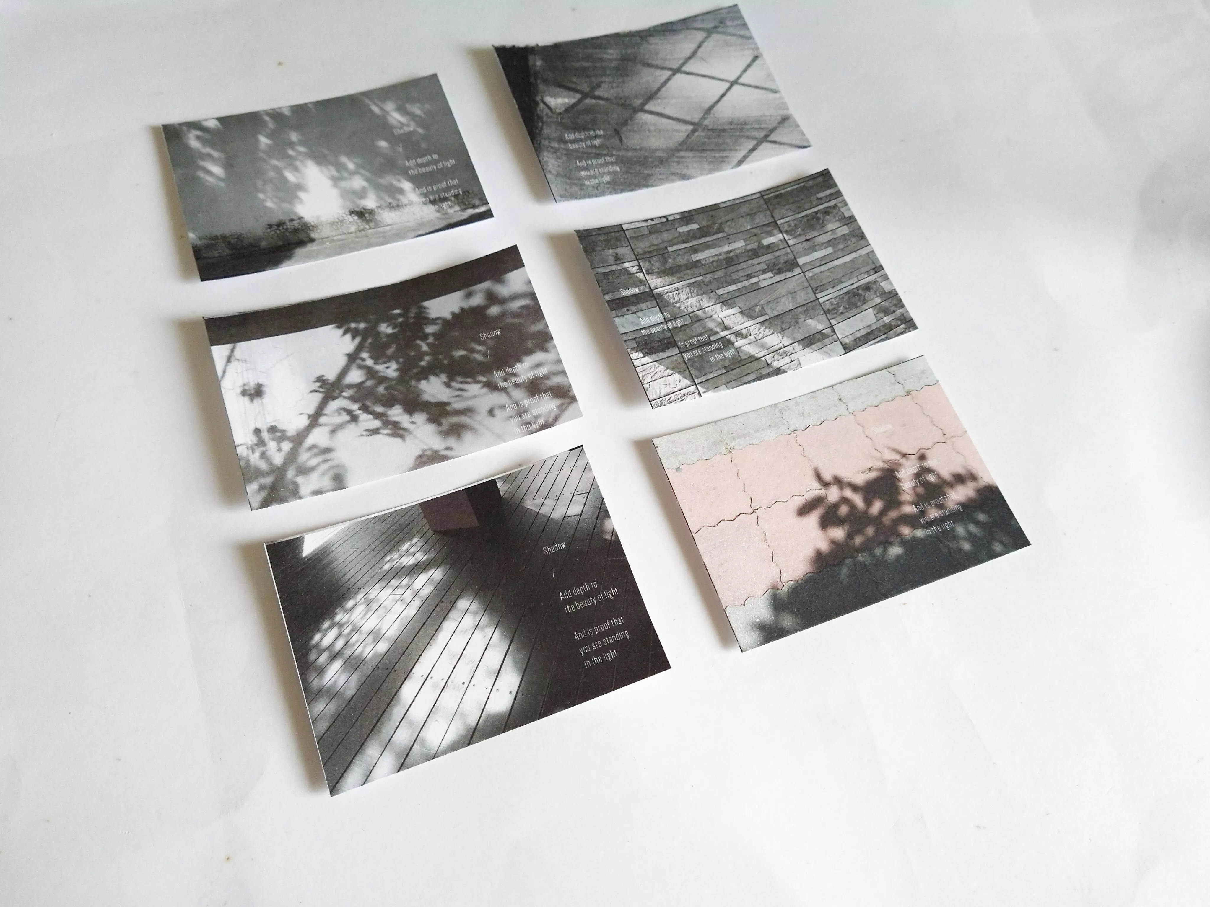 無色綻放｜感光便箋組 50入 (10款各5張)