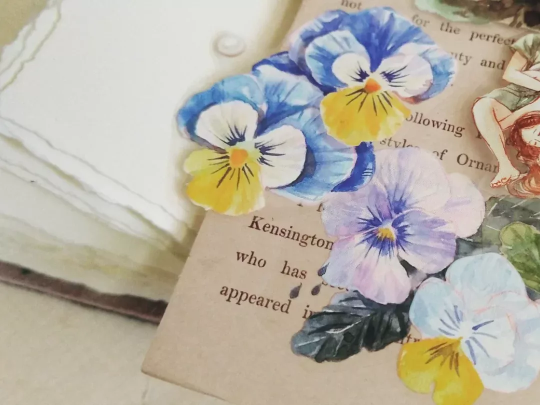 無色綻放｜仲夏夜-亮面PET膠帶 50 mm X 10m，100cm 循環