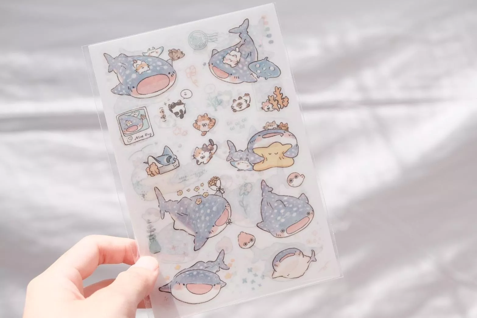 魚餅一隻熊｜轉印貼 系列