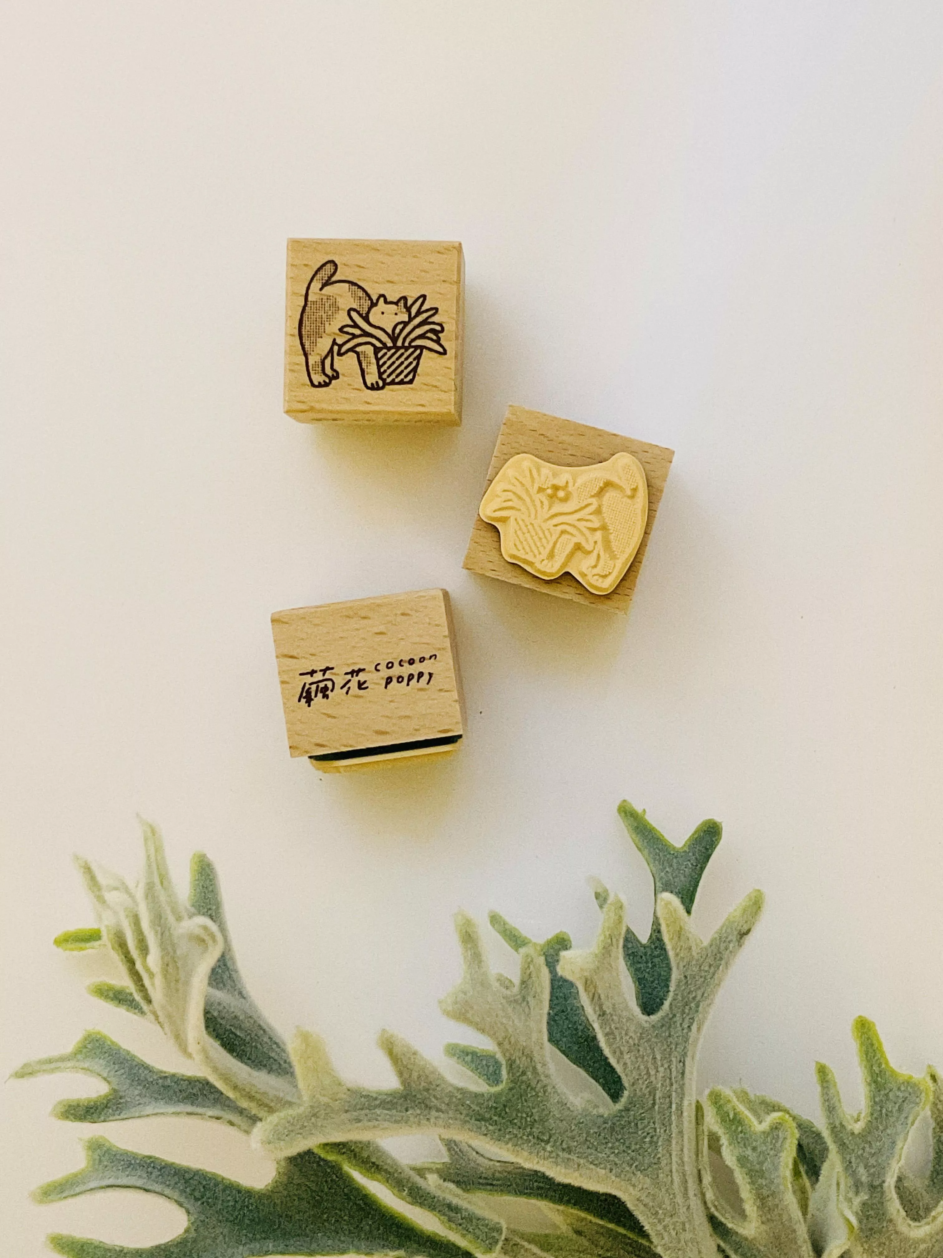 繭花｜貓咪/植物 系列 木章
