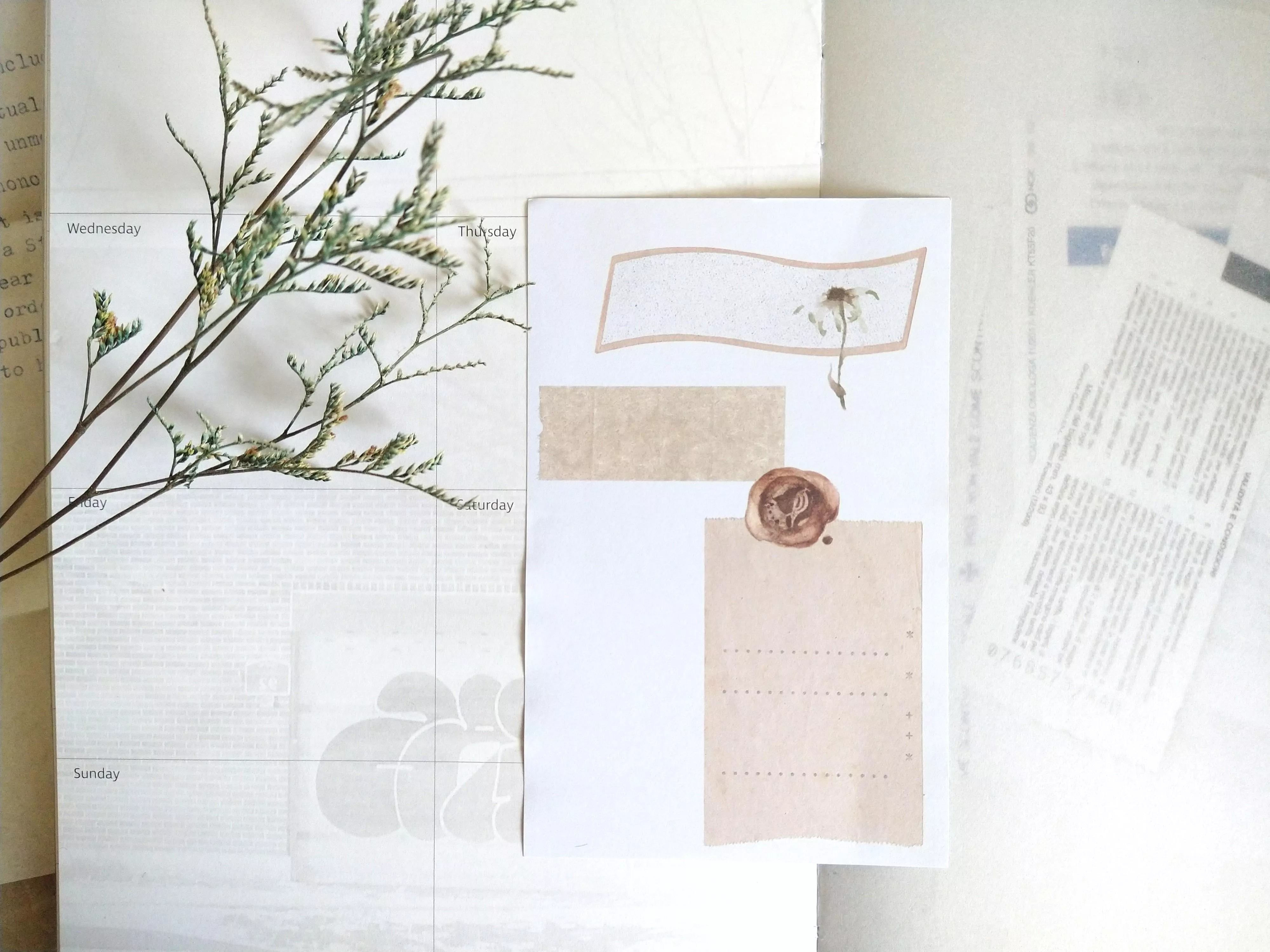 無色綻放｜海之花房 mini 6 素材紙 30入