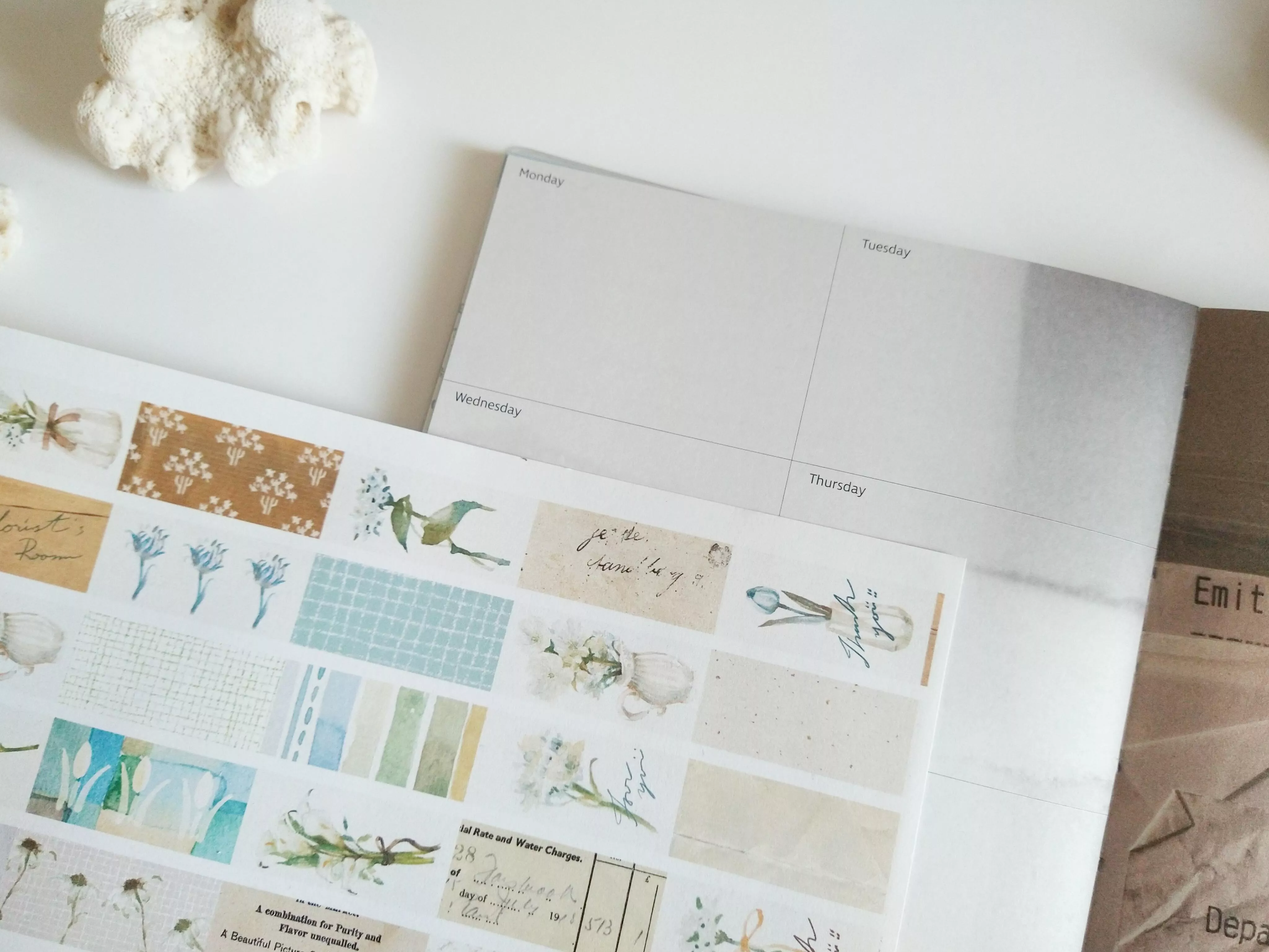 無色綻放｜海之花房 和紙膠帶