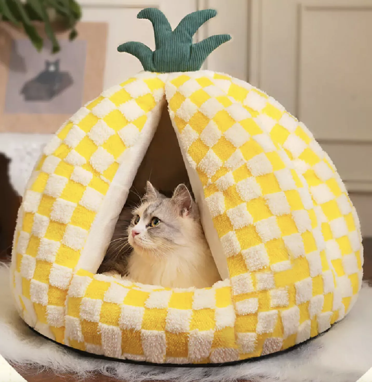 誰比我可愛｜喵仙兒格子鳳梨寵物睡窩_2026/03/16-04/15