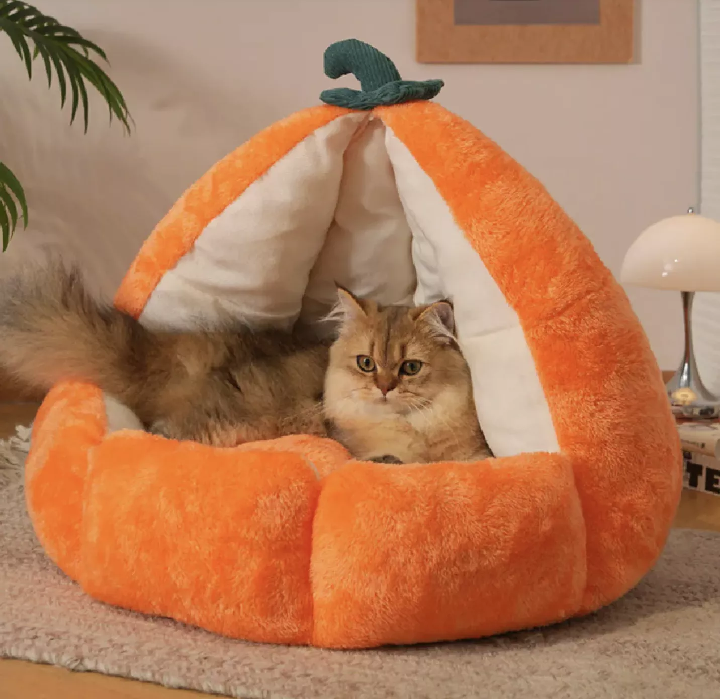 誰比我可愛｜喵仙兒躺躺南瓜寵物睡窩_2026/03/16-04/15