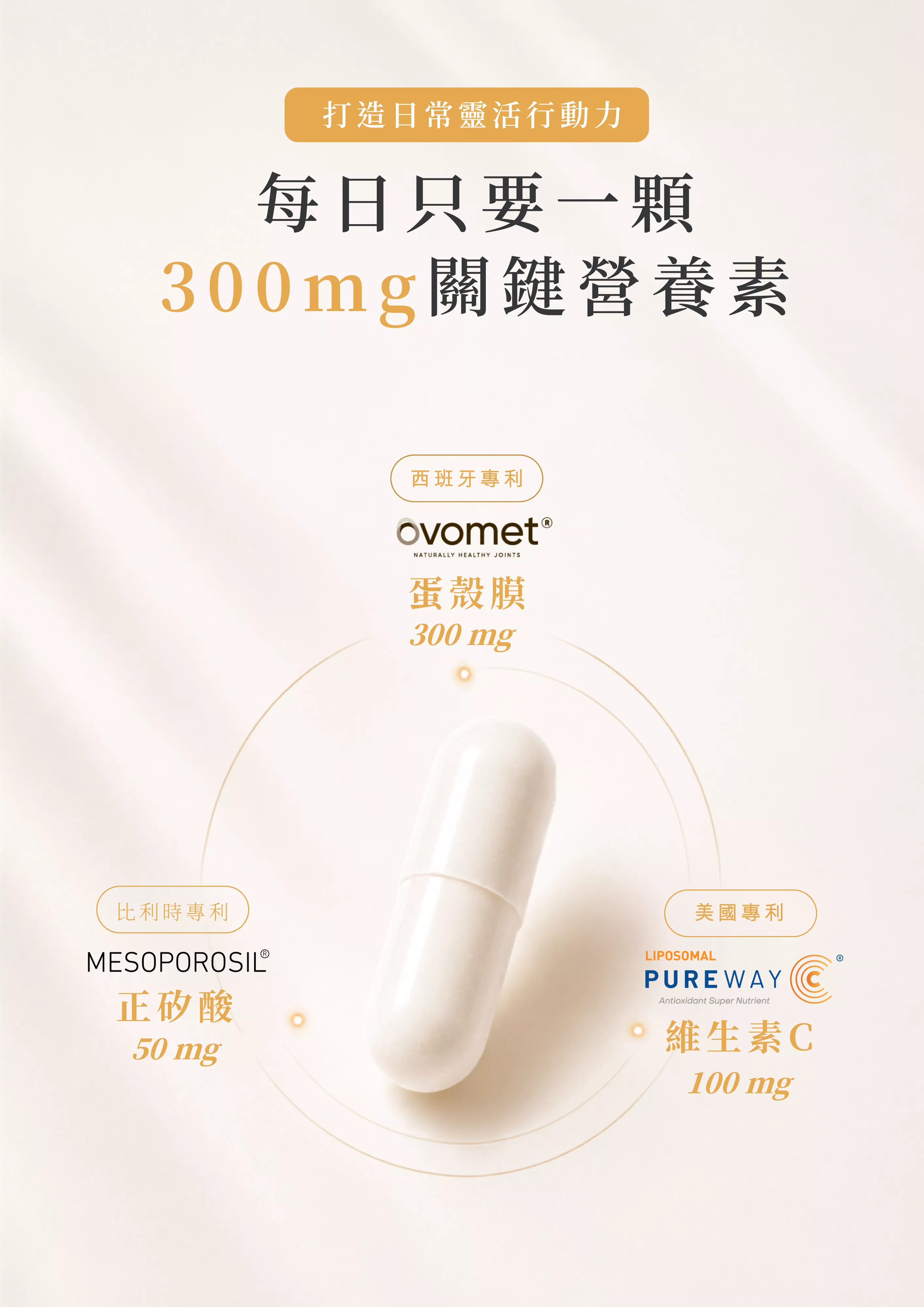 新網站-產品 (2).png
