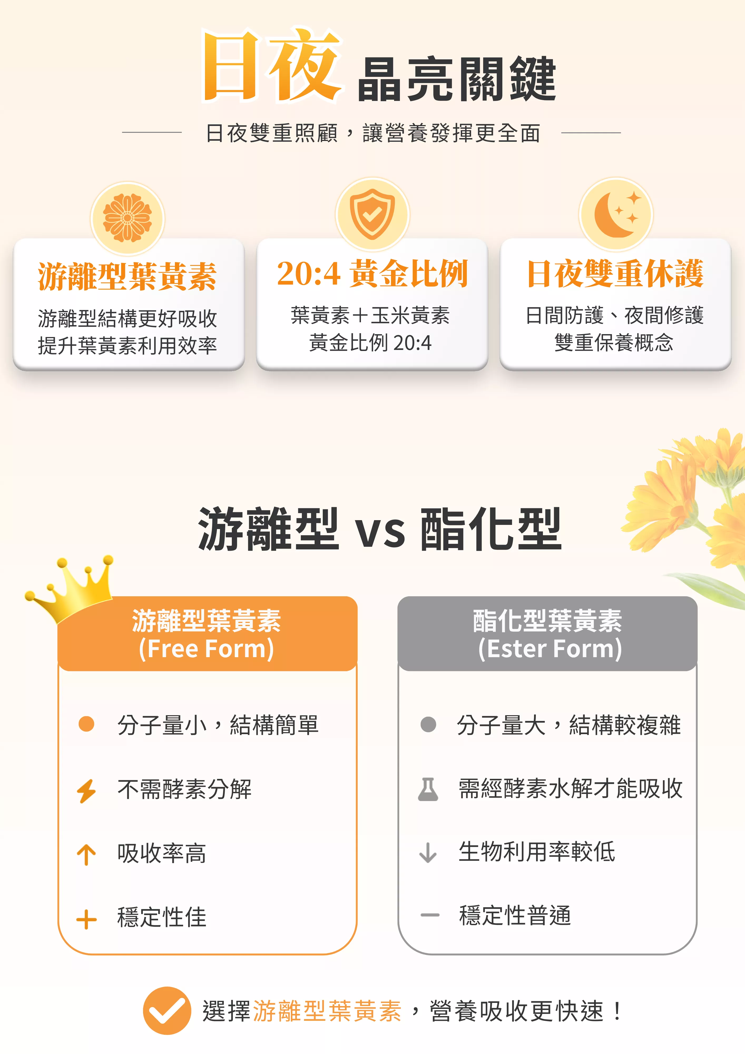 新網站-產品 (2).png
