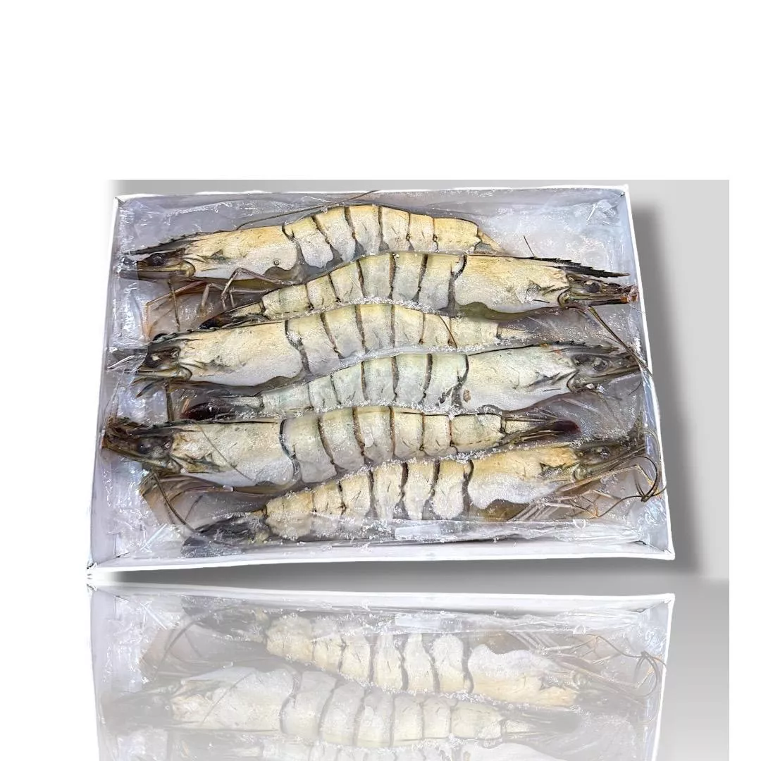 SGS認證海老草蝦6尾裝