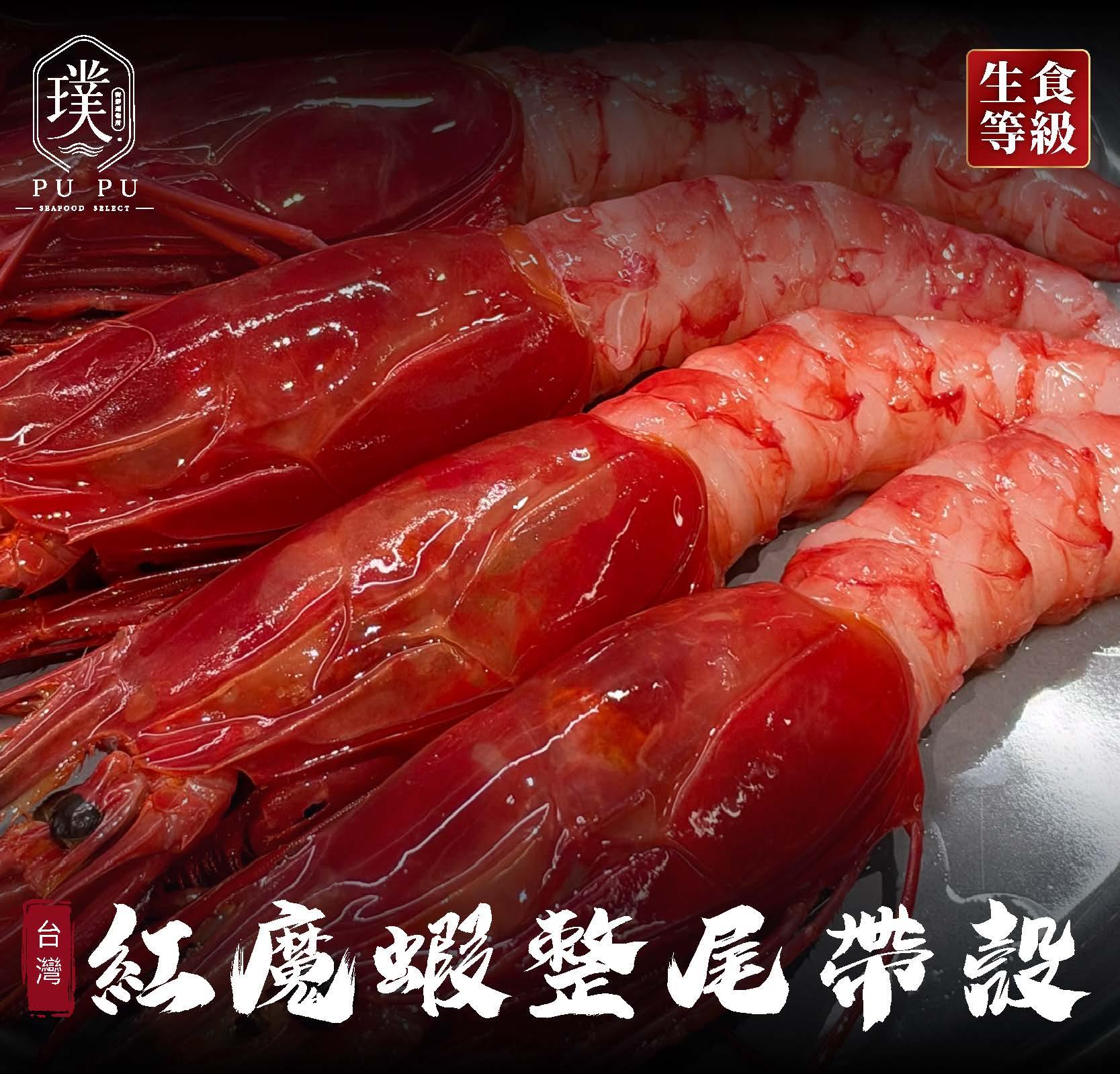 生食級 帶殼 ｜ 紅魔蝦・刺身・握壽司適用