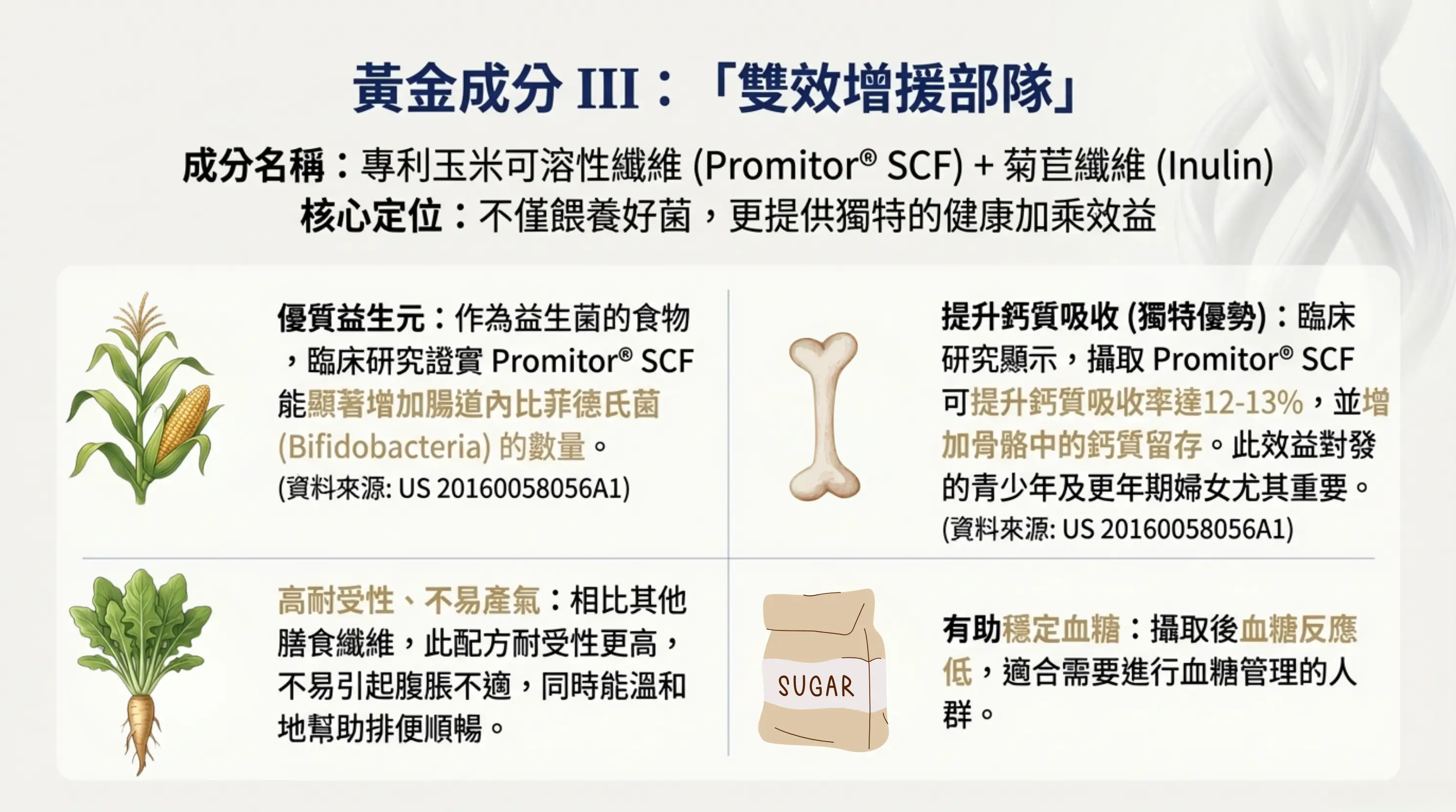 L&L 益生菌黃金成分：專利玉米可溶性纖維與菊苣纖維雙效配方，具備提升鈣質吸收率達 12-13% 、助穩血糖及增加腸道好菌等臨床研究證實功效。