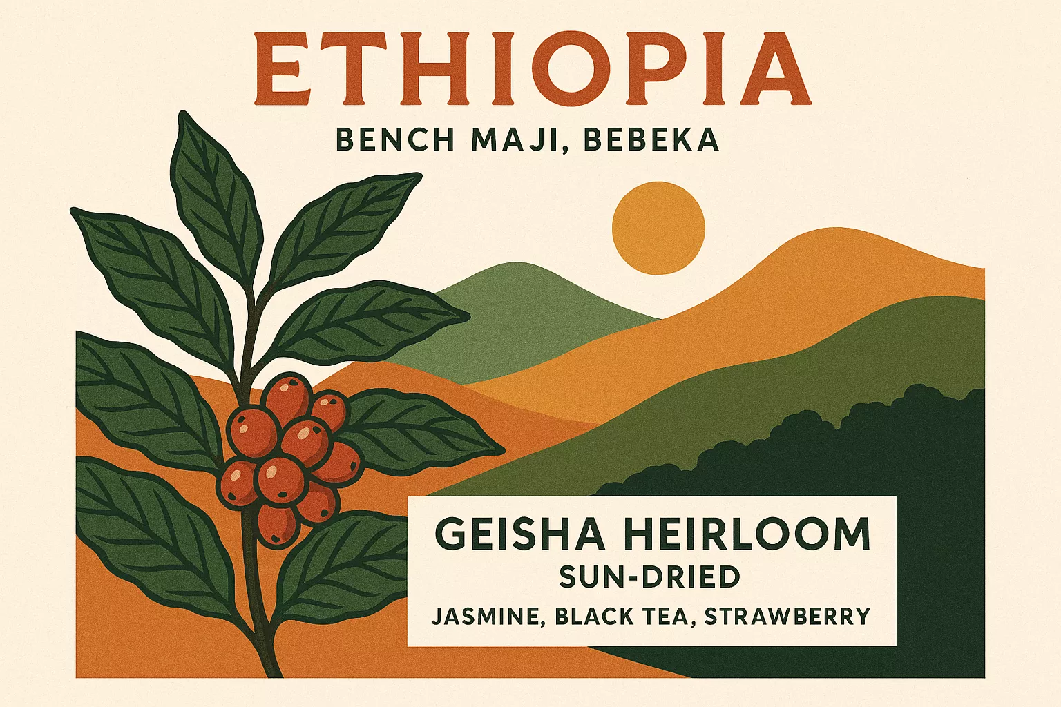 衣索比亞 班奇馬吉 貝貝卡藝妓原生種 日曬