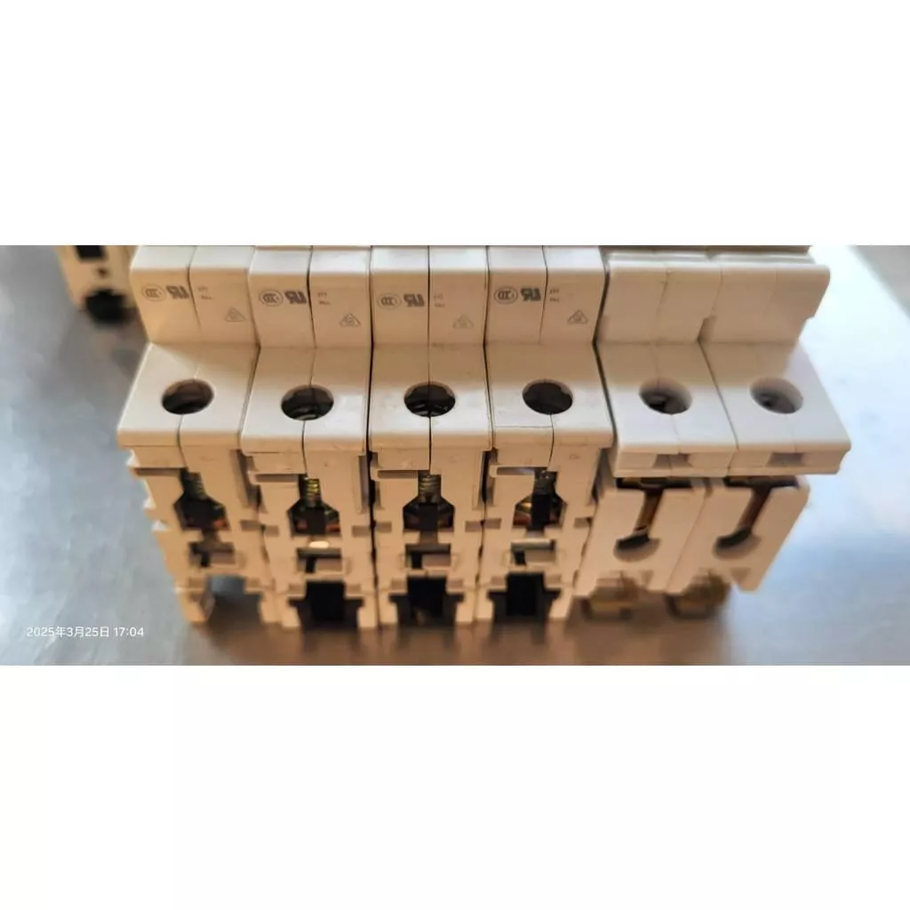 (出清)德國ABB 西門子Siemens EATON伊頓 1P 迴路保護器 微型斷路器 C6 C10 C16 C50