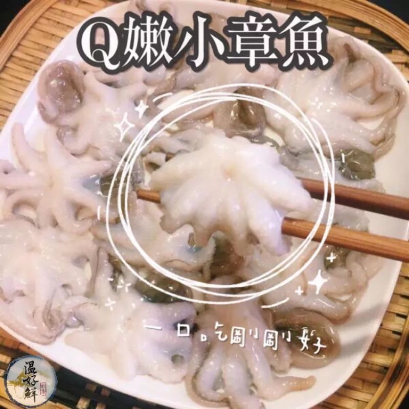 小章魚