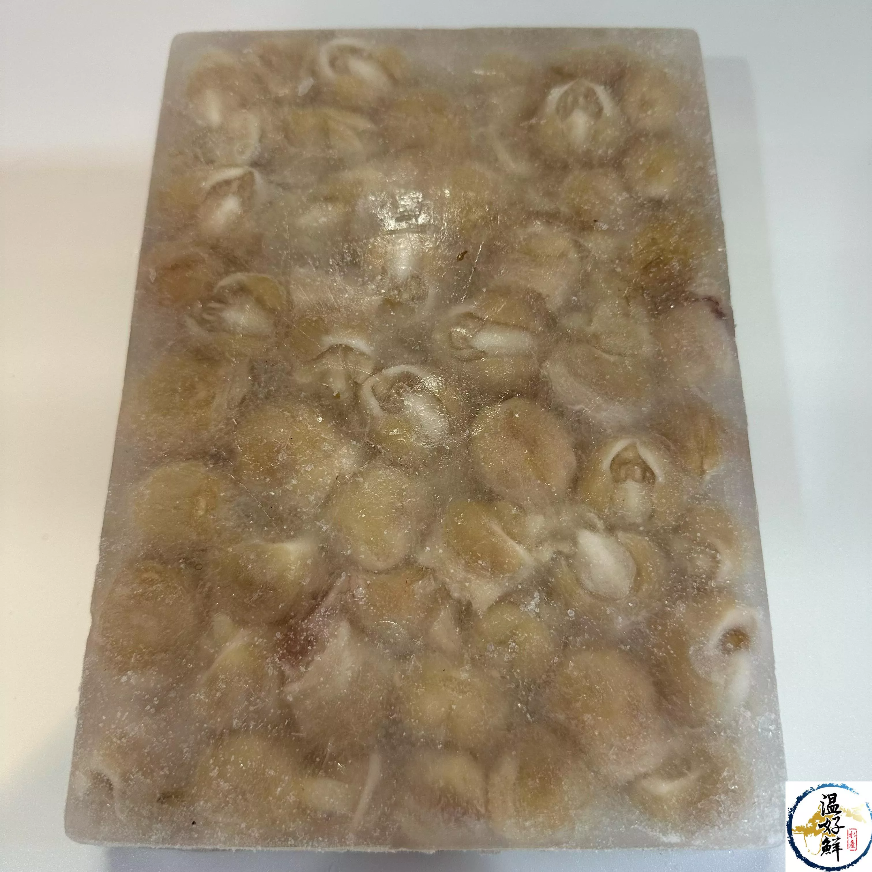 龍珠(魷魚嘴)(規格3號)