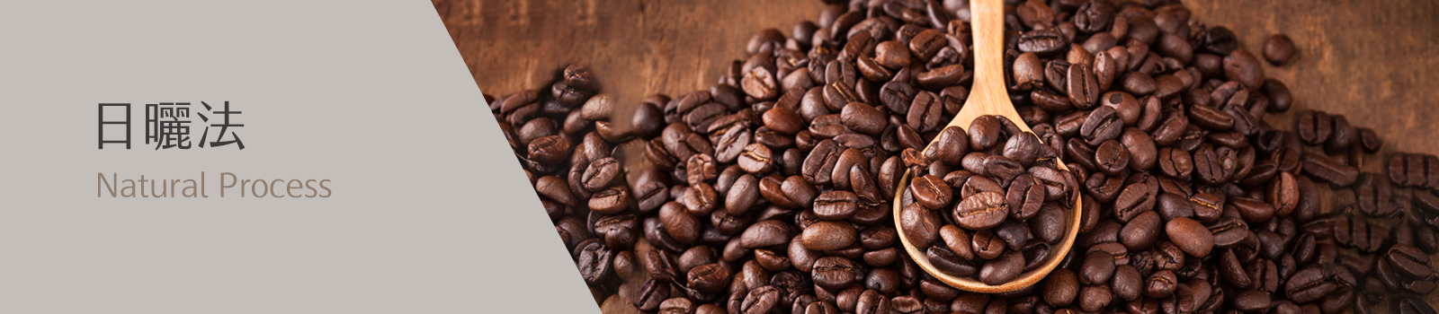 GB5 咖啡 | 日曬處理法