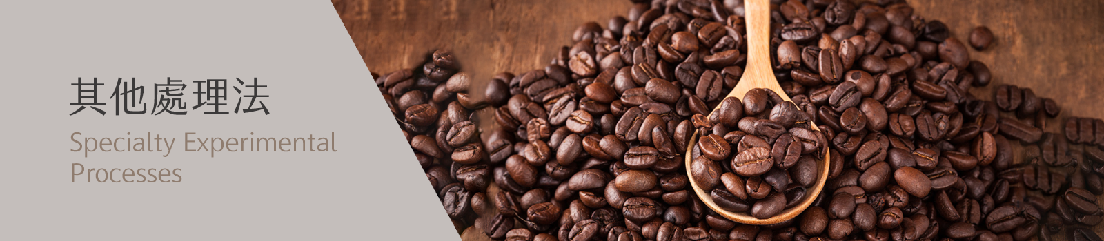 GB5 咖啡 | 其他處理法