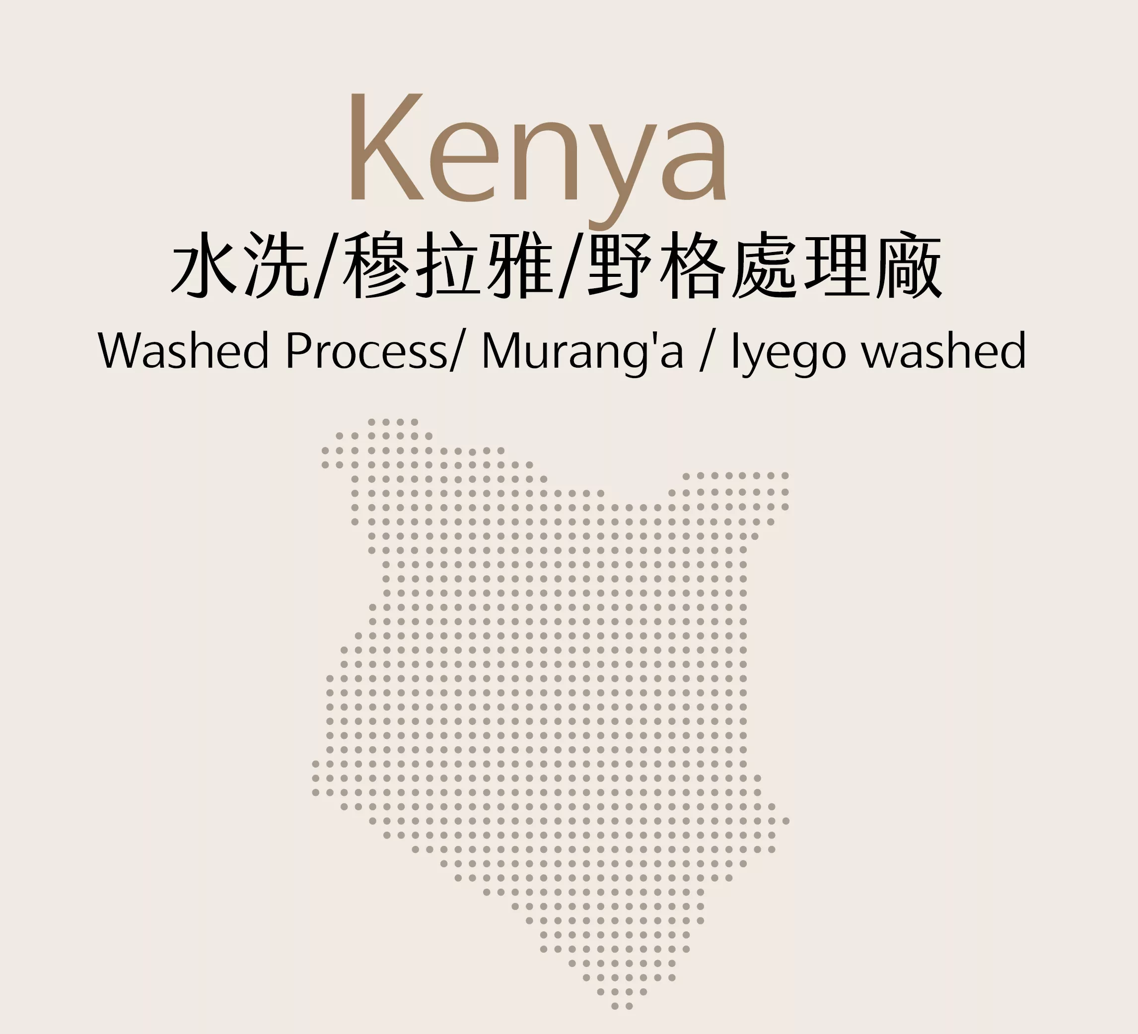 肯亞 | 水洗 | 穆拉雅 | 野格處理廠 | 半磅