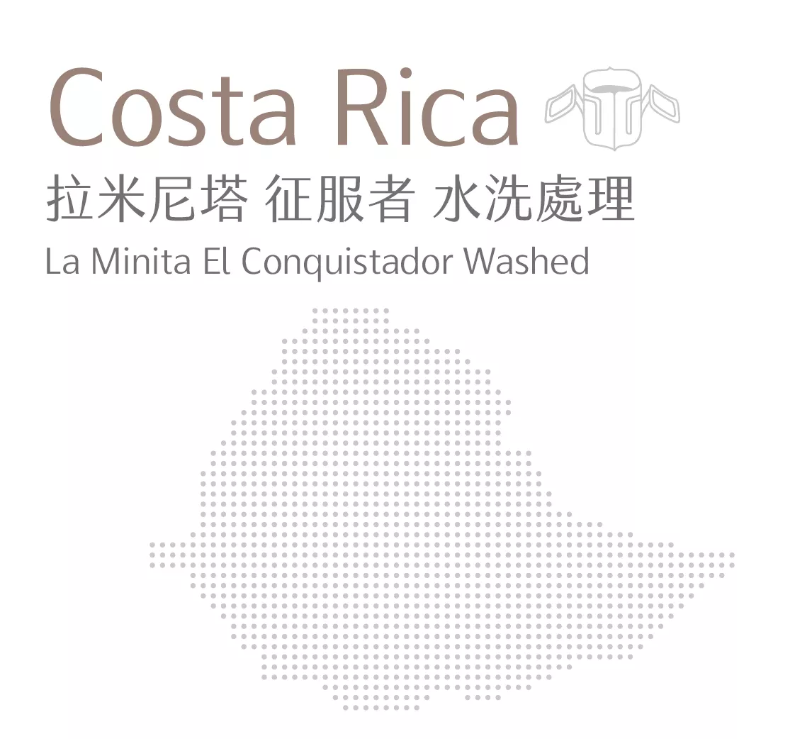 哥斯大黎加 | 拉米尼塔 征服者 | 水洗處理